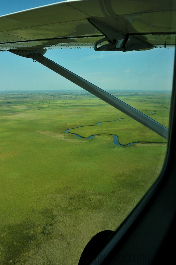 Okavango Delta May 2014 [28 mm, 1/4000 sec at f / 8.0, ISO 2500]